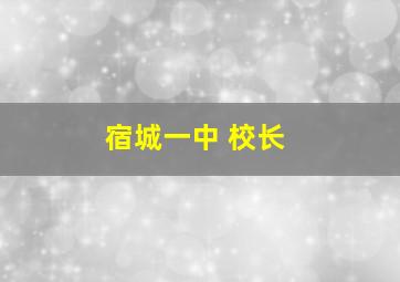 宿城一中 校长